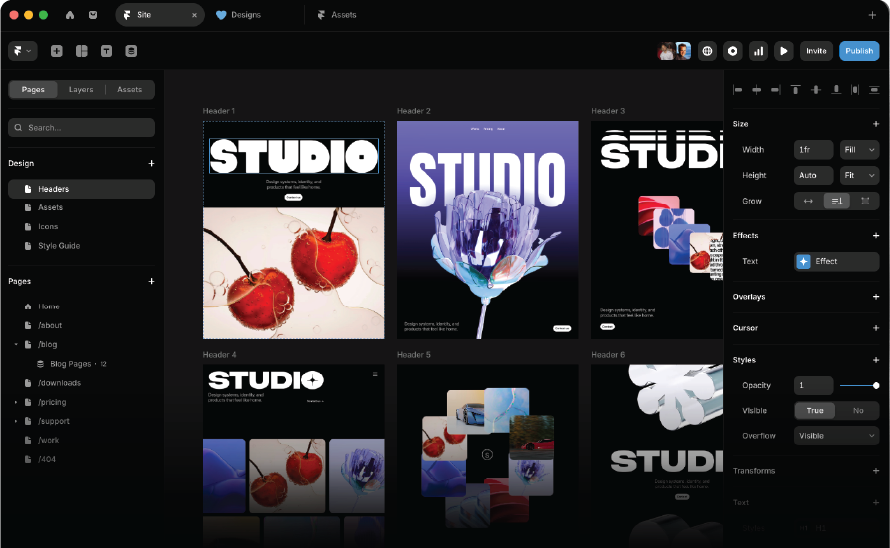 Framer offer