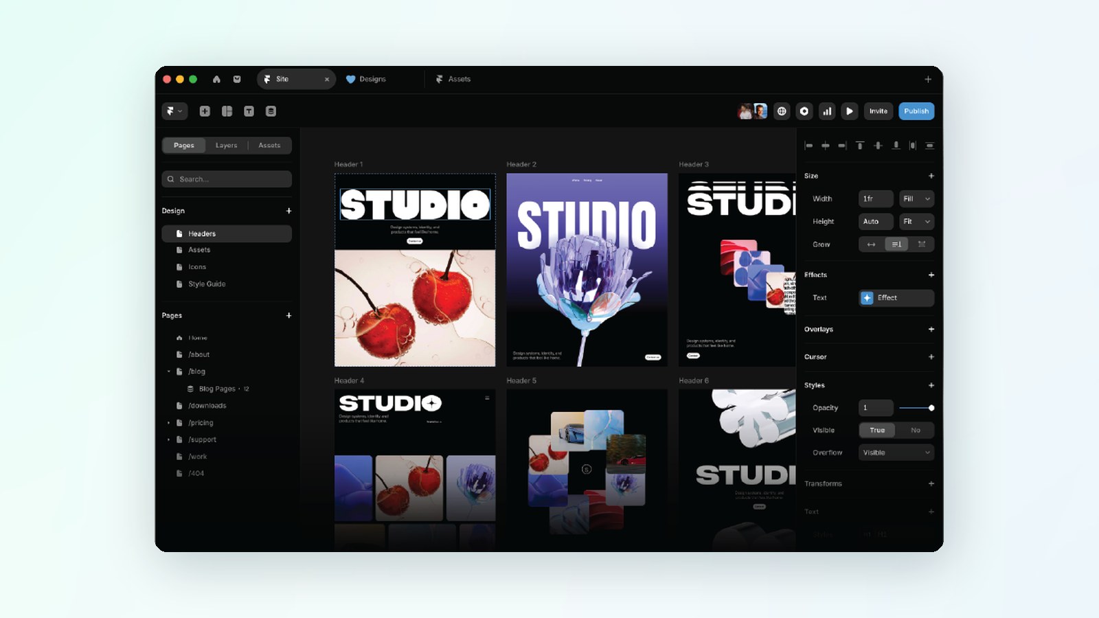 Framer offer